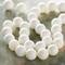 12 Pack: White Shell Round Beads, 8mm by Bead Landing™